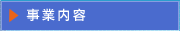 ���Ɠ��e